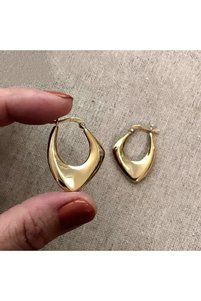 Related product image Choice Steel Earrings