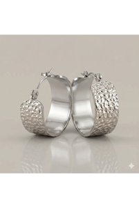 Related product image Siya Silver Steel Earrings