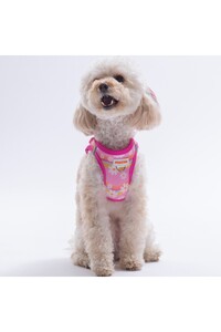 Related product image Pawstar Dog Collars