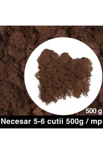 Imaginea produsului asociat Terarii și plante suculente