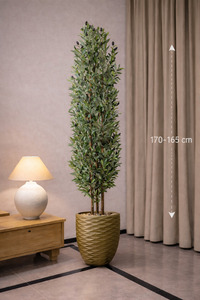 Related product image CENTRHOME Indoor Plants