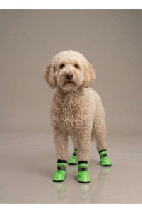 Related product image Monopetz Dog Clothes