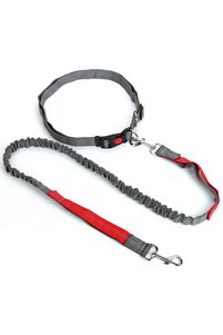 Related product image Choice Dog Collars