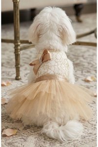 Related product image atelyu Dog Clothes