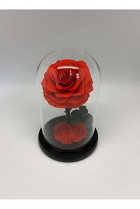 Related product image Generic Artificial Flowers