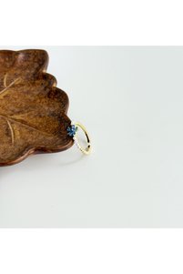 Related product image Boise Atelier Steel Rings