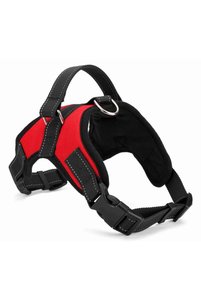 Related product image Choice Dog Collars