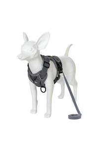 Related product image Choice Dog Collars