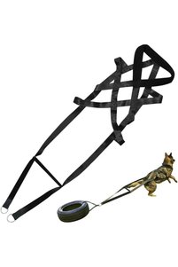 Related product image Choice Dog Collars