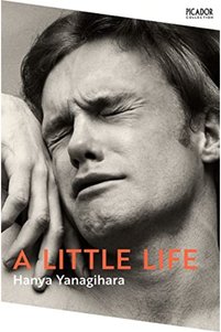Related product image Picador Novel