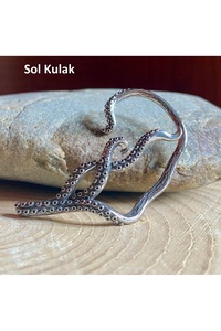 Related product image Viking Steel Earrings