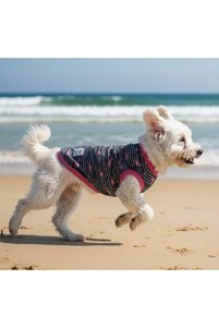 Related product image MİNİŞ PET BUTİK Dog Clothes