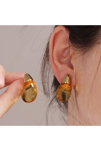 Related product image Choice Steel Earrings
