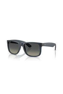 Related product image Ray-Ban Sunglasses