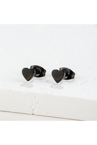 Related product image Choice Steel Earrings
