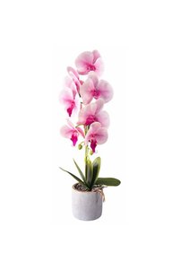 Imaginea produsului asociat OEM Obiecte decorative și figurine