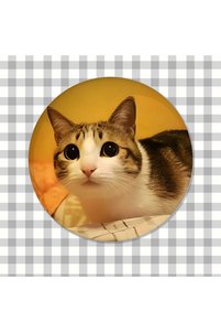 Related product image Choice Brooches