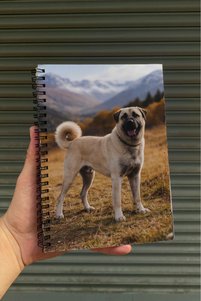 Related product image Namgo Notebooks