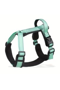 Related product image Choice Dog Collars