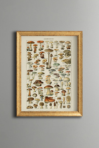 Related product image epiqart Paintings