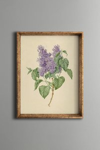 صورة المنتج ذات الصلة epiqart لوحات فنية