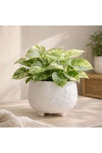 Related product image PAN HOME Flower Pot