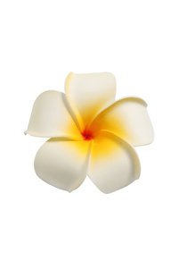 Related product image Choice Artificial Flowers