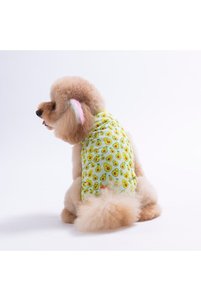 Related product image Pawstar Dog Clothes