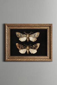 Related product image epiqart Paintings