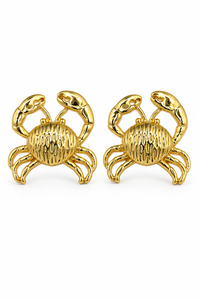 Related product image Jack Ferrero Steel Earrings