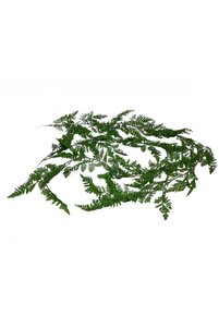 Imaginea produsului asociat OEM Flori artificiale