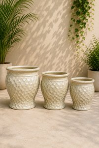 Related product image Generic Flower Pot