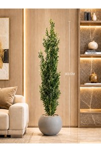 صورة المنتج ذات الصلة CENTRHOME زهور صناعية