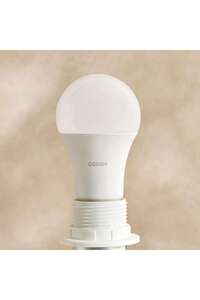 Related product image PAN HOME Light Bulb