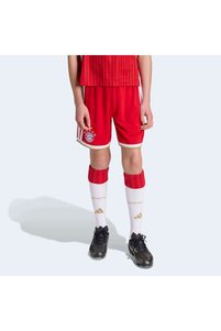 Related product image adidas Shorts