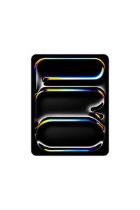 Apple 13