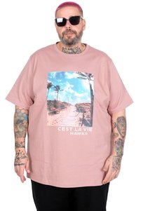 Related product image Modexl T-Shirts