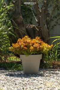 Related product image Dekorsende Artificial Flowers