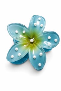 Related product image New Obsessions Hair Clips