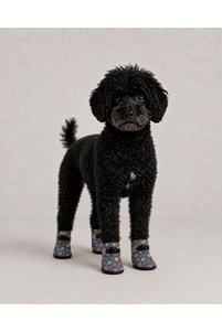 Related product image Monopetz Dog Clothes