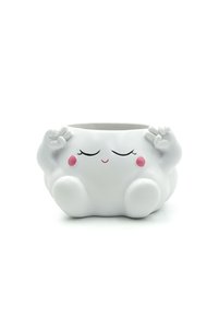 Related product image Generic Flower Pot