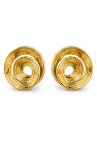 Related product image Ressia Steel Earrings