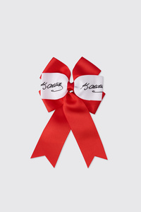 Related product image Panço Hair Clips