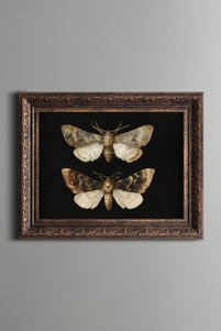 Related product image epiqart Paintings