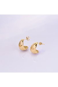 Related product image Choice Steel Earrings