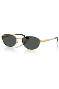 Related product image Ray-Ban Sunglasses