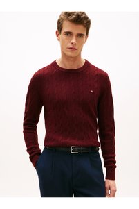 صورة المنتج ذات الصلة Tommy Hilfiger كنزات