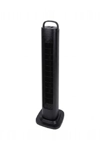 Related product image Evendi Fan