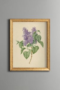 صورة المنتج ذات الصلة epiqart لوحات فنية