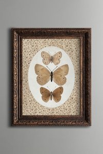 Related product image epiqart Paintings